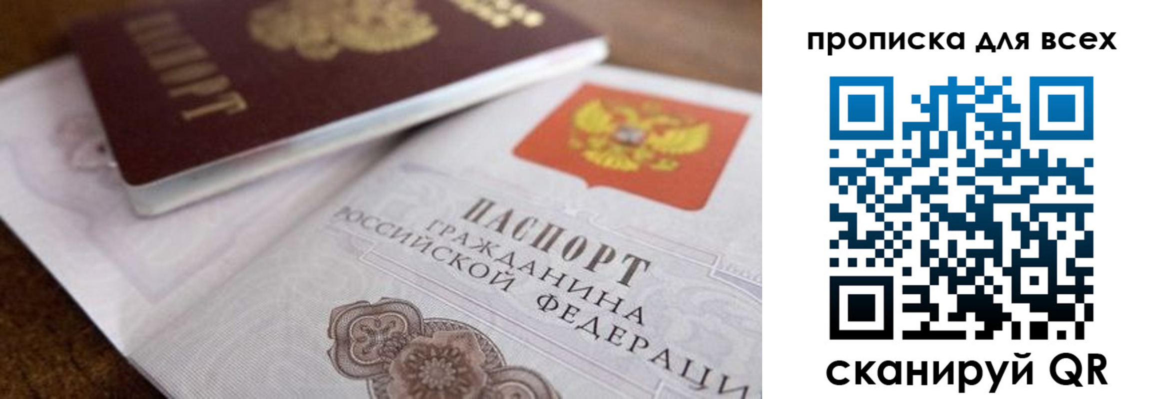 где прописаться в Димитровграде