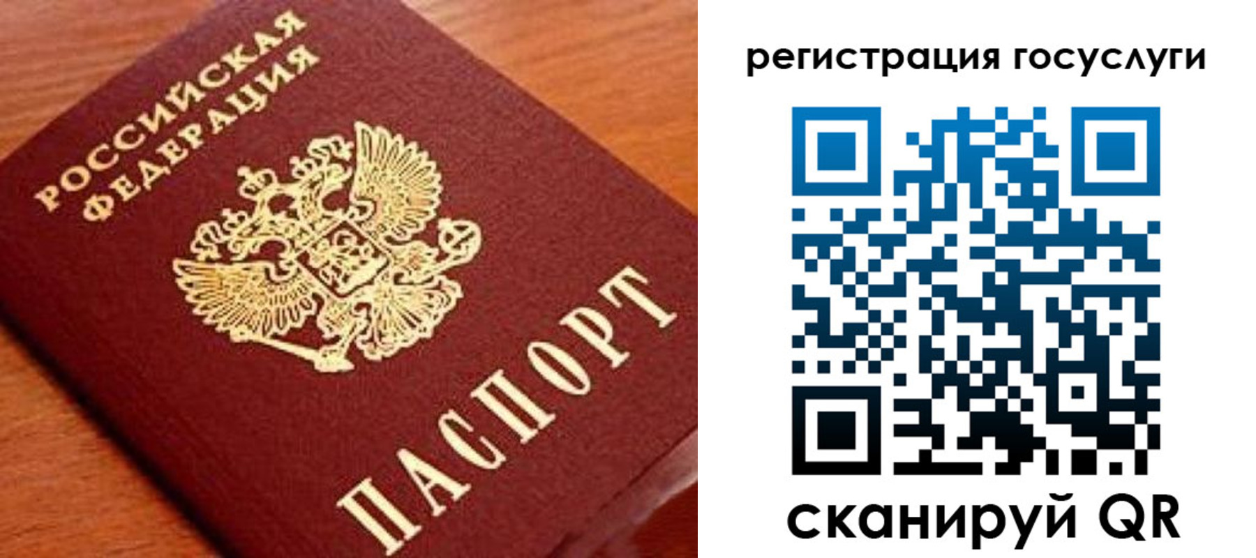 прописка иностранных граждан в Димитровграде